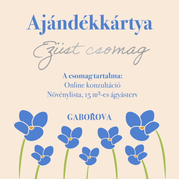 Ezüst ajándékkártya kerttervezési tanácsadáshoz és személyre szabott szakmai útmutatáshoz